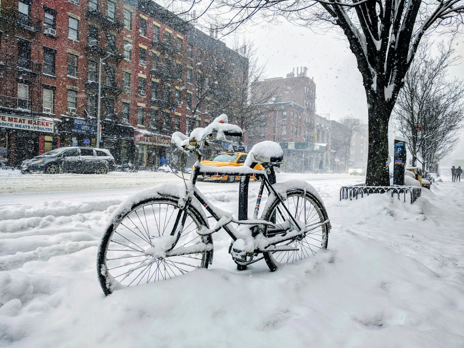 Snowfall in NY. 2017